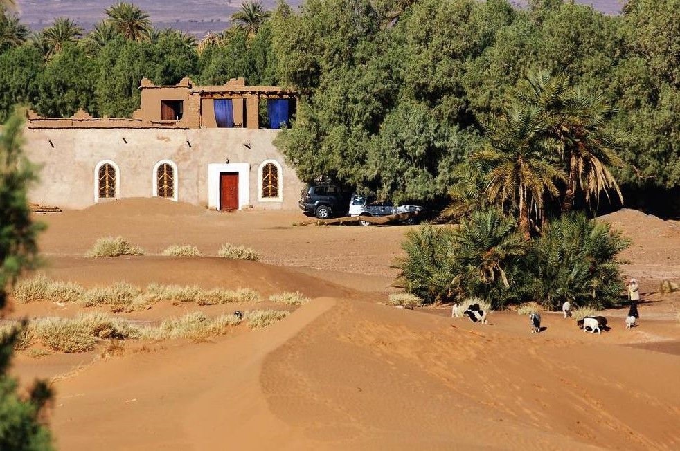 reitor en el desierto del sahara cj