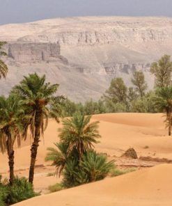 retiro en el desierto del sahara fez marrakech