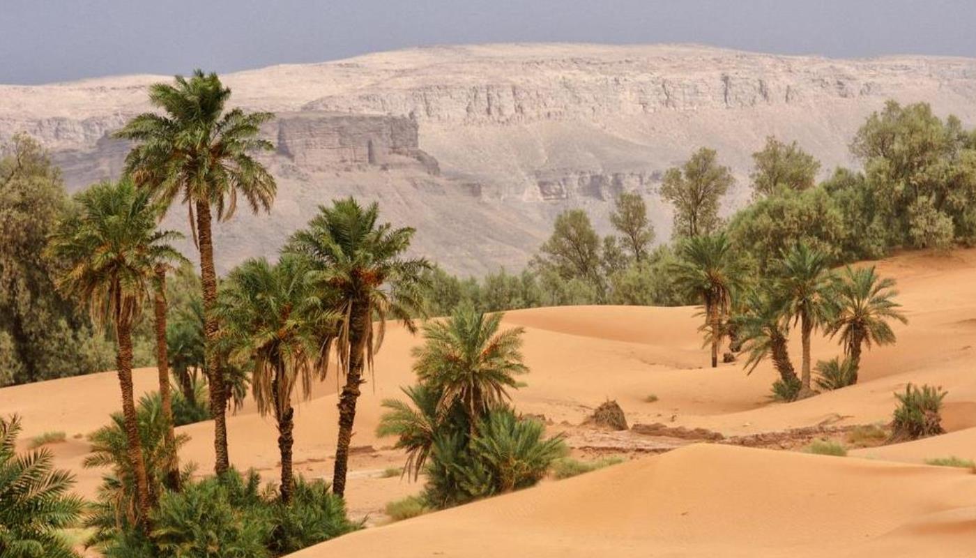 retiro_en_el_desierto_del_sahara_4 retiro en el desierto del sahara fez marrakech
