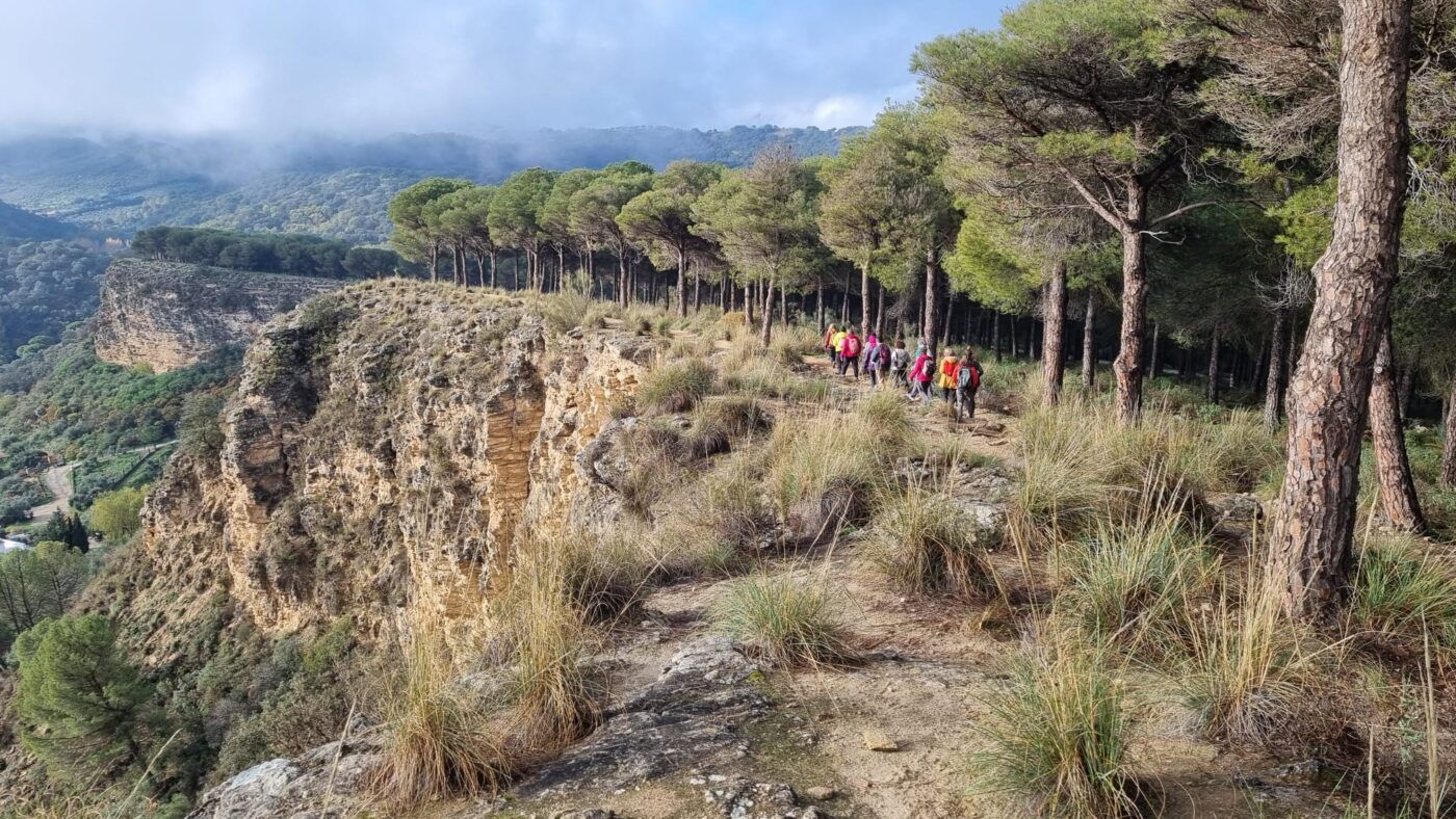 retiro yoga y senderismo serrania de ronda