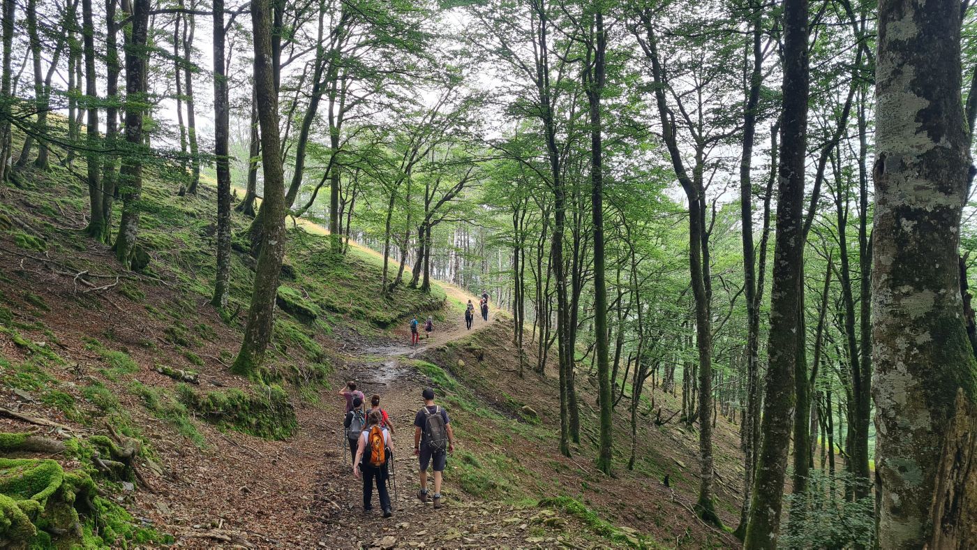 retiro yoga y senderismo en pirineo navarro