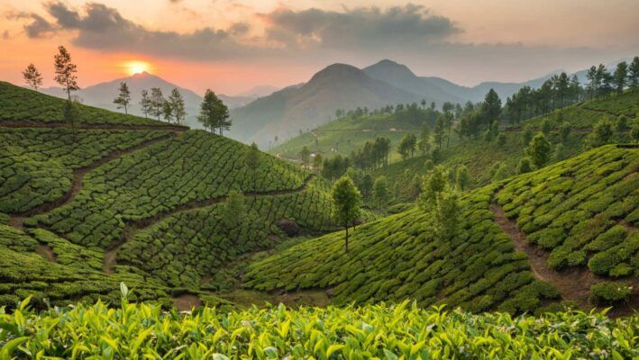 viajar a sri lanka con proposito