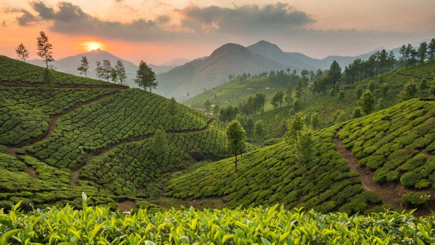 viajar a sri lanka con proposito