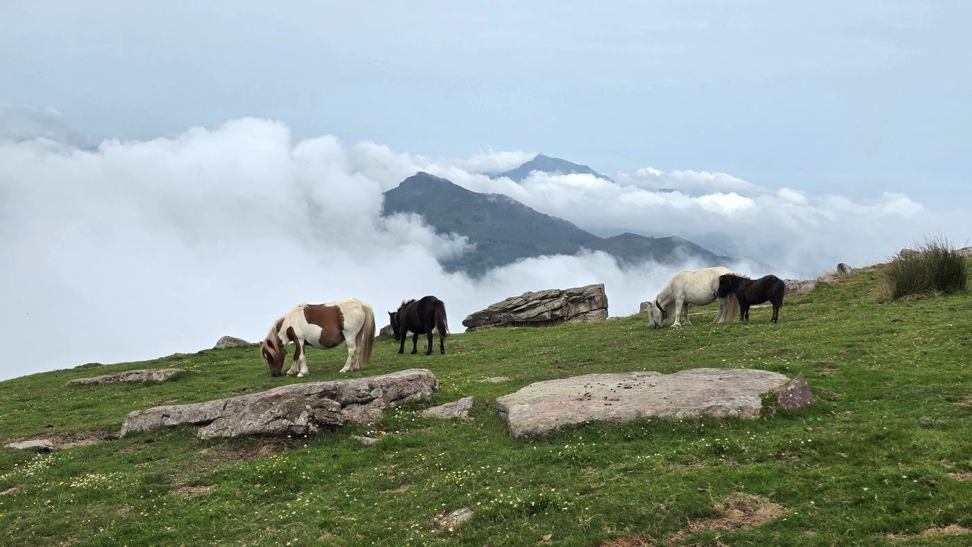 retiro yoga y senderismo en pirineo navarro urritzpilota