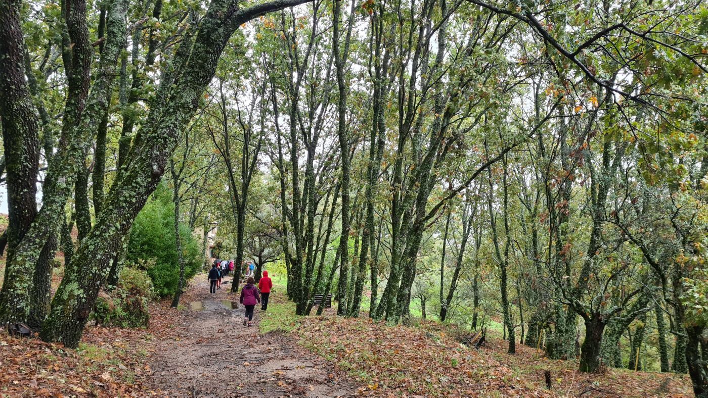 retiro yoga y senderismo en sierra de gata